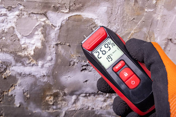 Best Mold Remediation for Specific Building Types in North Valley, NM